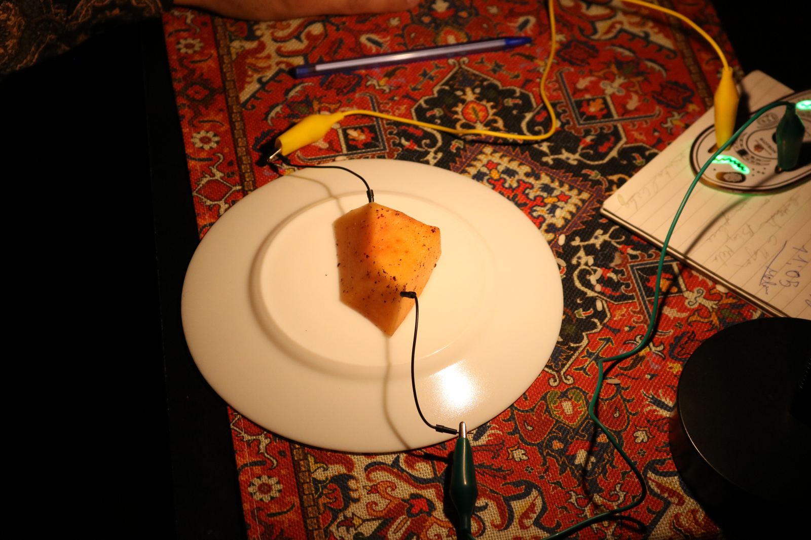 Singularity the Dinner