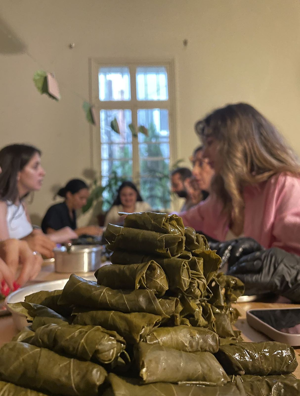 Vine Leaves for Resistance