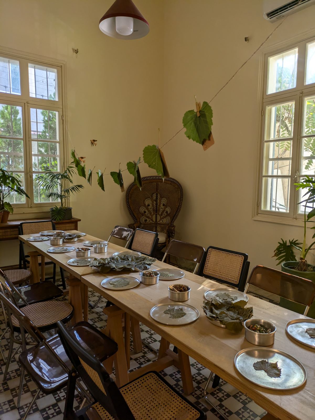 Vine Leaves for Resistance
