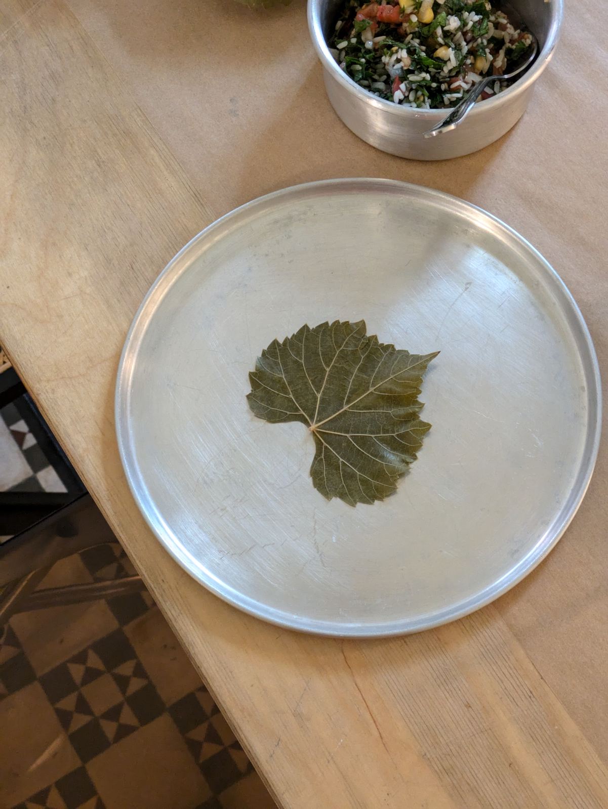 Vine Leaves for Resistance
