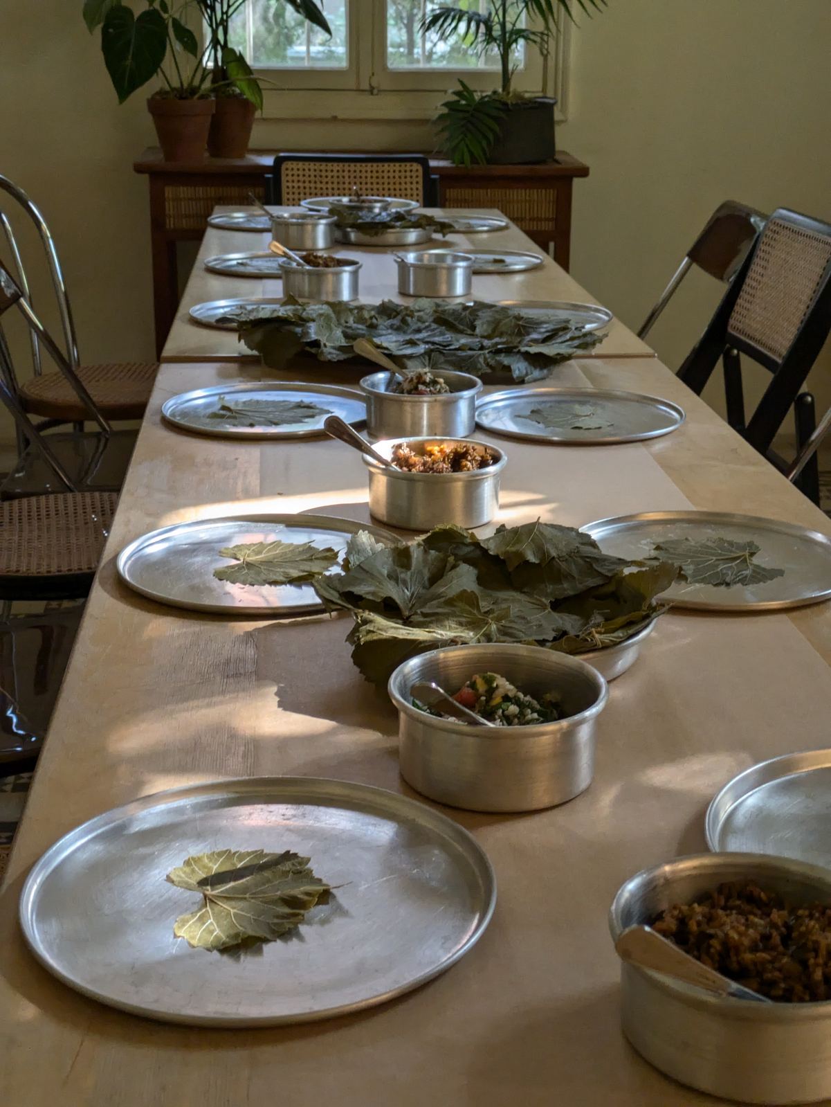 Vine Leaves for Resistance