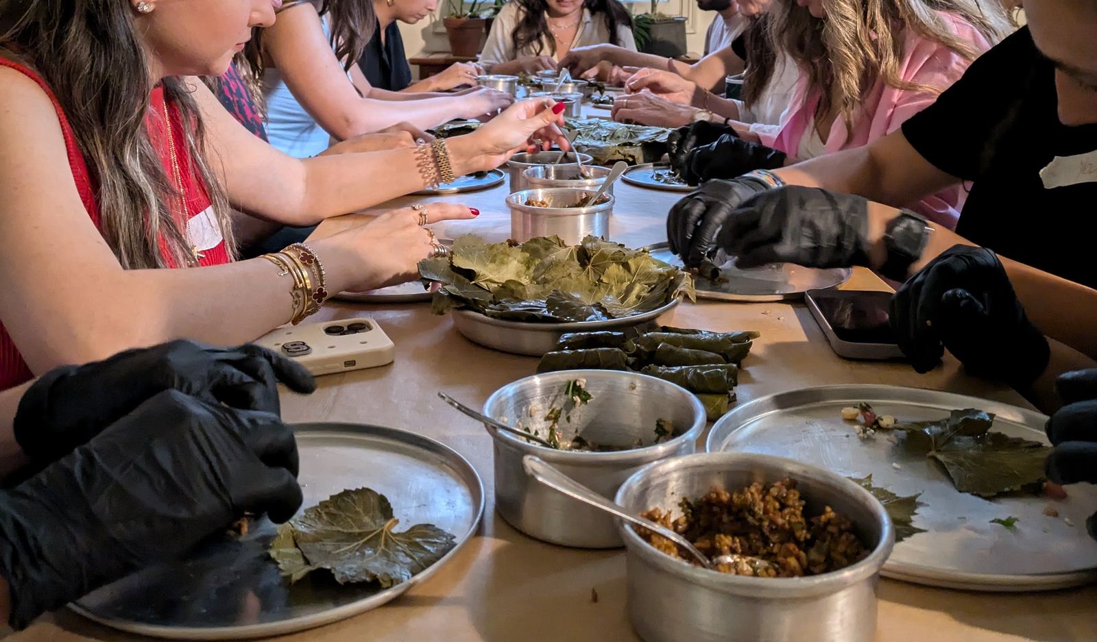 Vine Leaves for Resistance