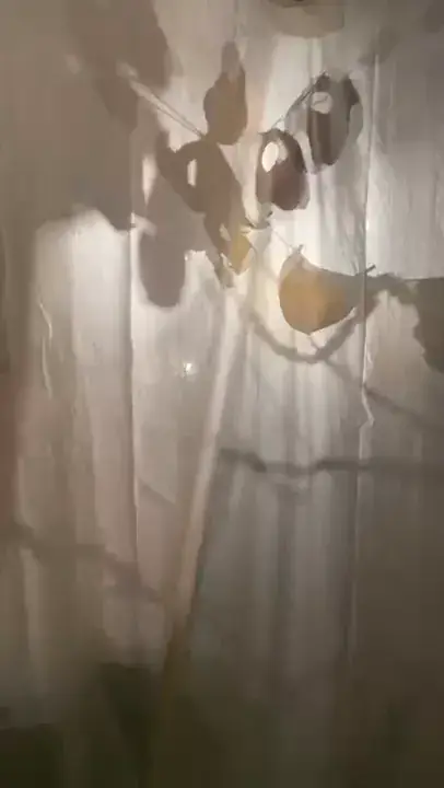 Digesting Chaos — video