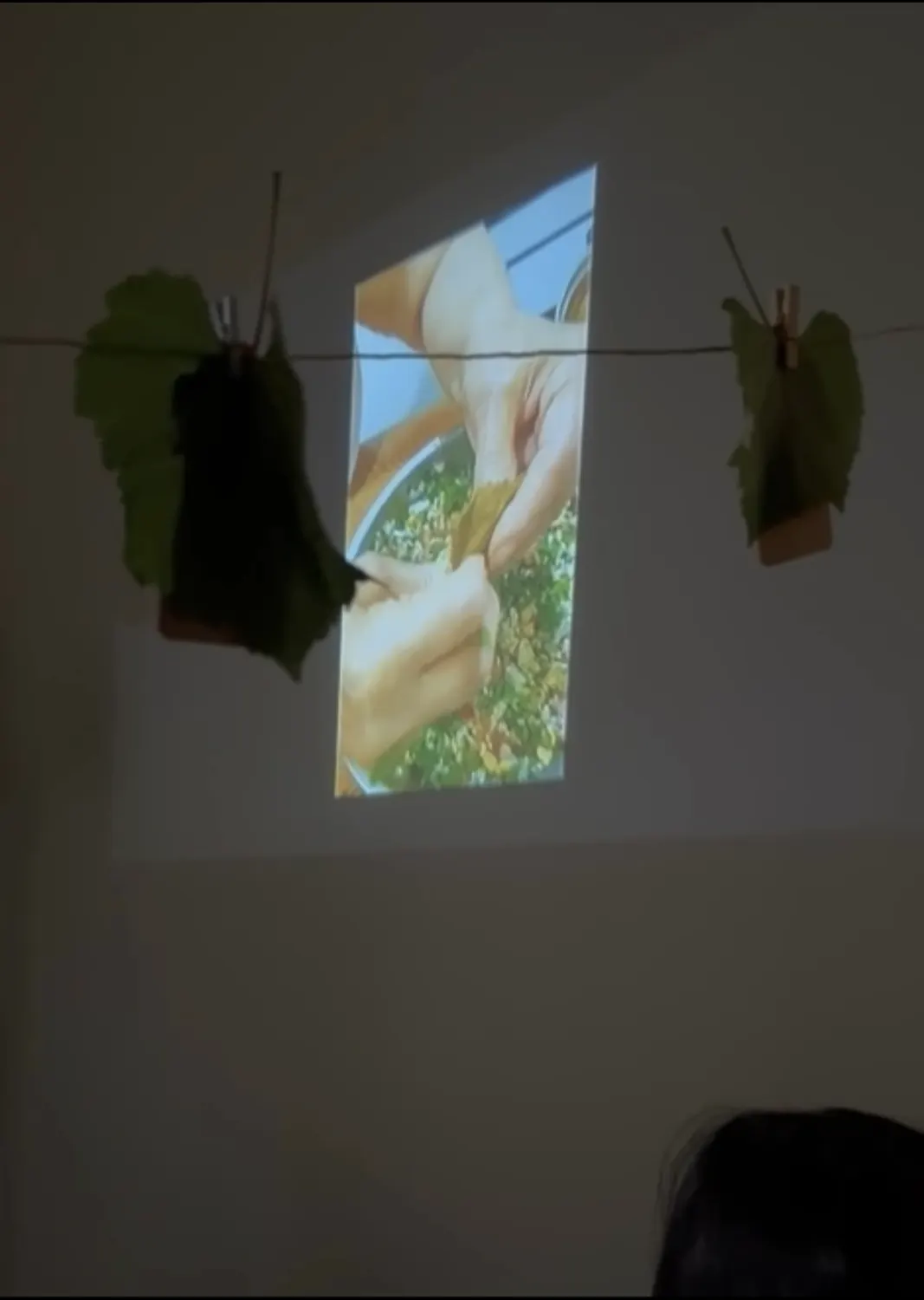 Vine Leaves for Resistance