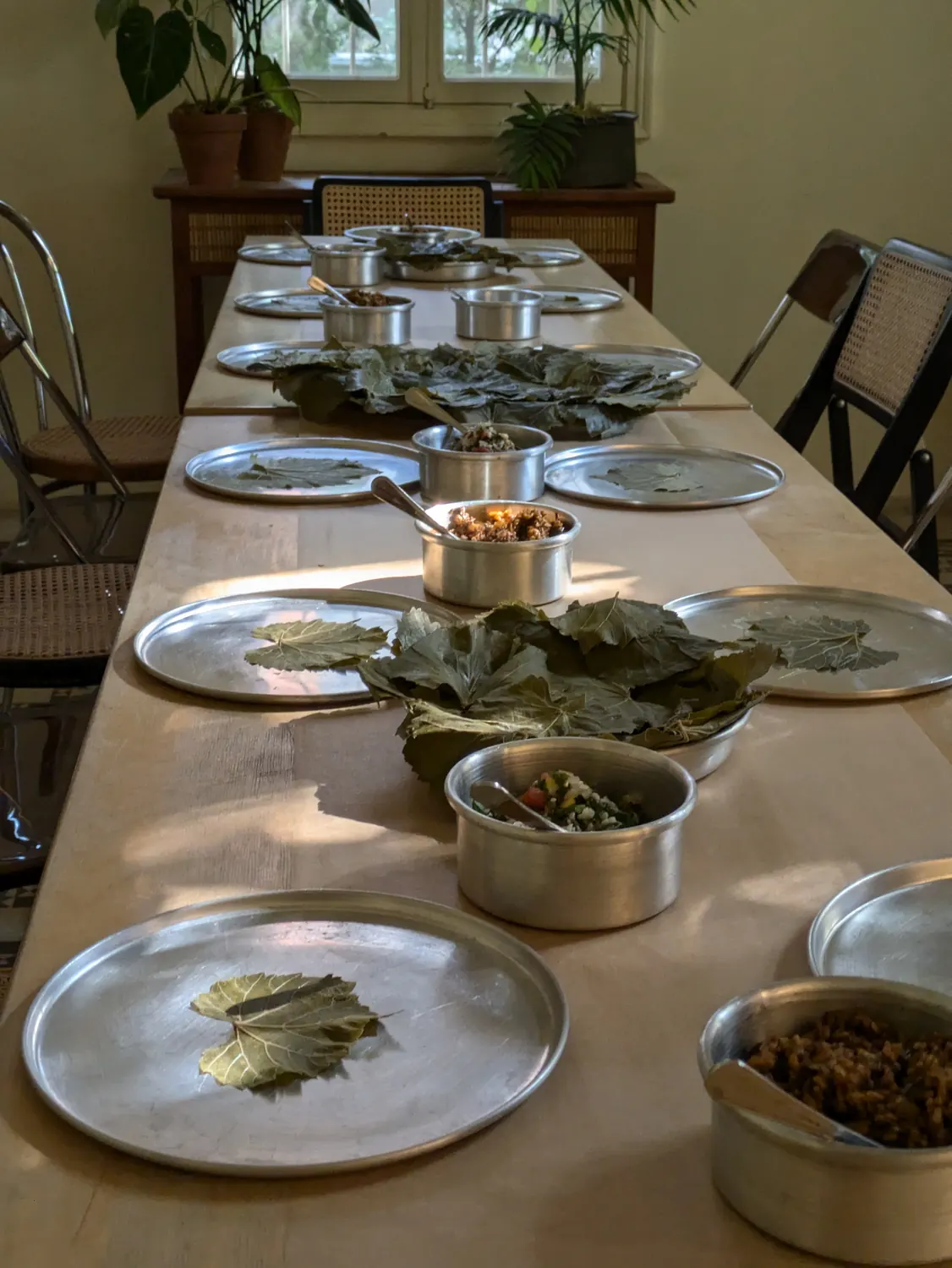 Vine Leaves for Resistance