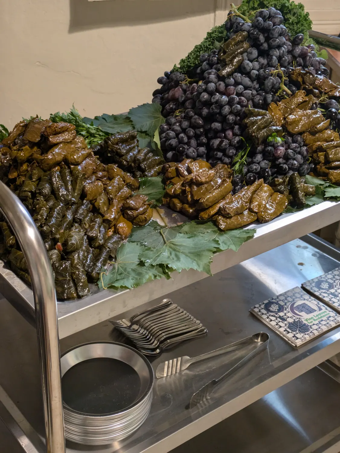 Vine Leaves for Resistance