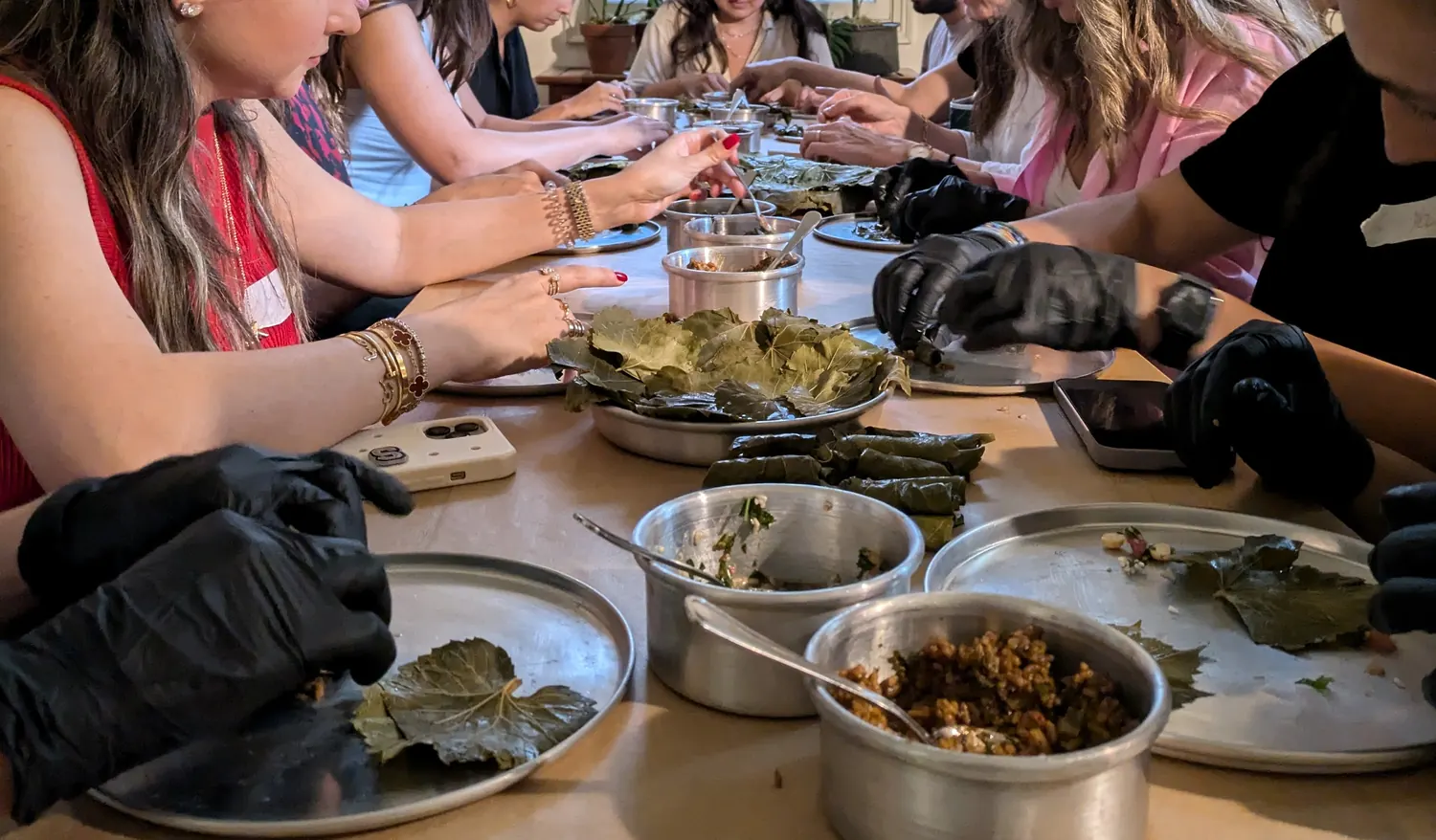Vine Leaves for Resistance