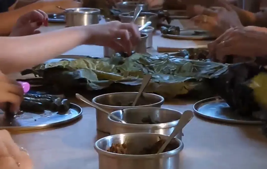 Vine Leaves for Resistance — video